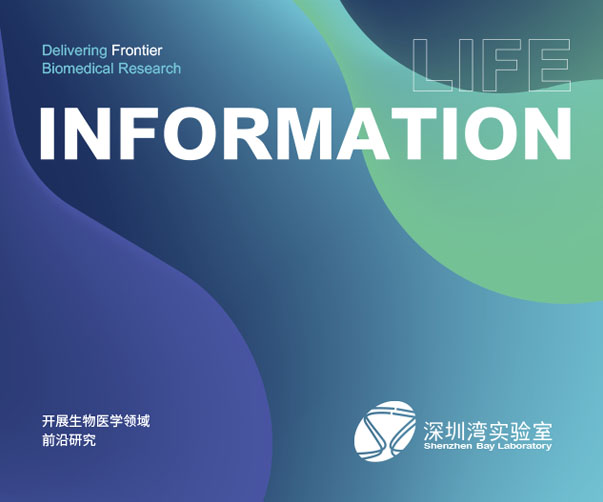 可比克VI設計_突破創新_引領設計潮流