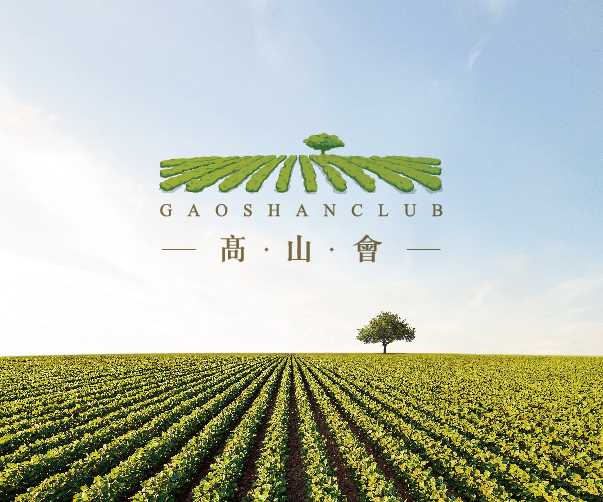 金華設(shè)計(jì)公司專業(yè)vi設(shè)計(jì)-打造個(gè)性化品牌形象